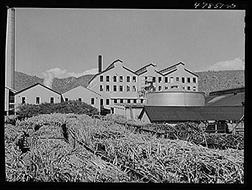 HistoricalFindings Fotó: Yauco,Puerto Rico,Farm Security Administration,az FSA,Ponce Önkormányzat,1942,3